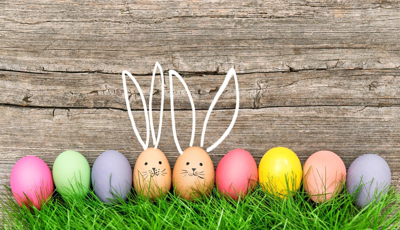 Colored Easter eggs and bunny ears against a wooden background
